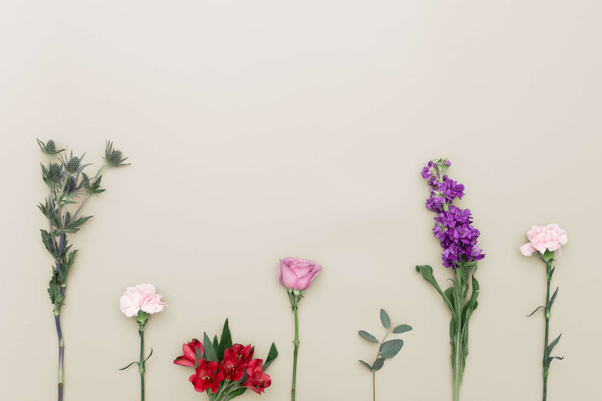 Spring Refresh Face