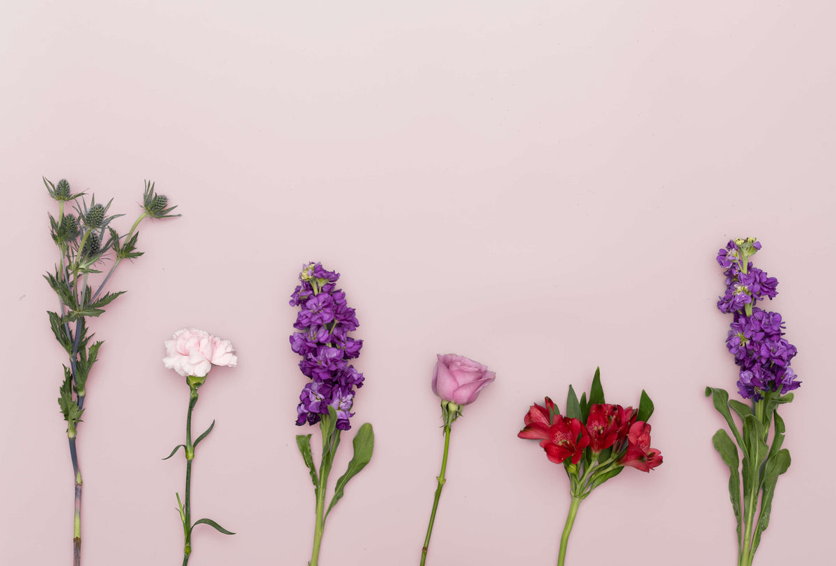 Spring Refresh Bodycare
